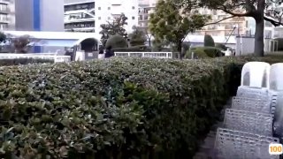 MSD-079_色氣保險員飢渴騷動投懷猛幹官网